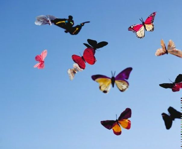 №6, Ольга Недогода, 37 лет, Томск №6, Ольга Недогода, 37 лет, Томск