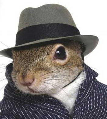 Владимир Салжаницын | Москва