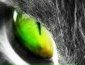 Ирина Шурухина | Санкт-Петербург