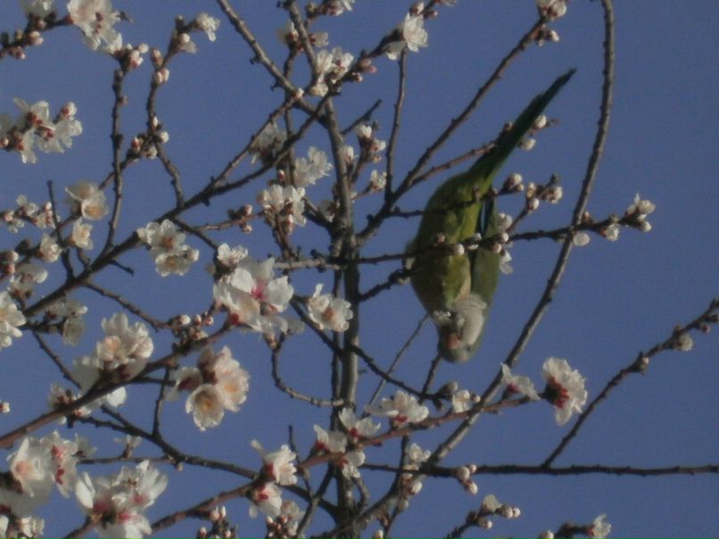 Саида Золина | Санкт-Петербург