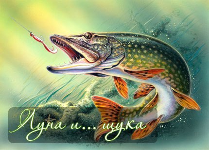 Роман Волошин B.R.D. | Одесса