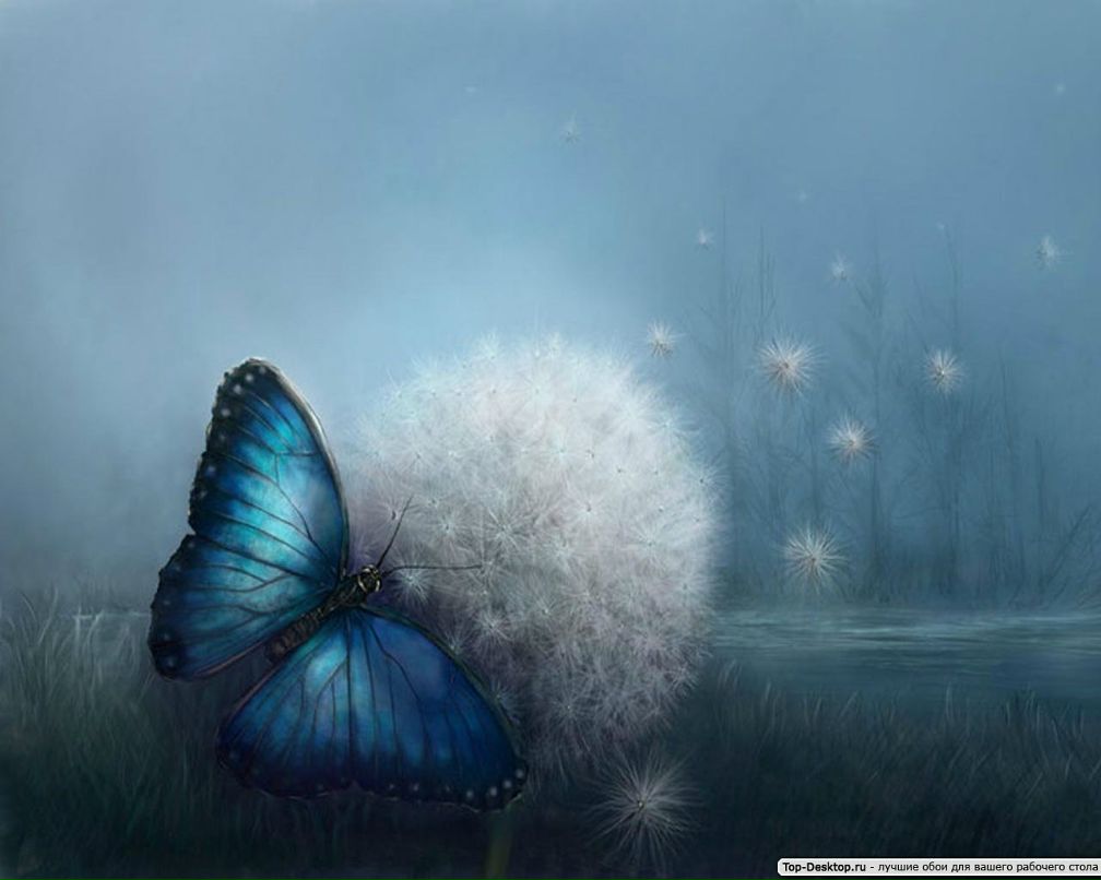 Анна Крауз | Санкт-Петербург