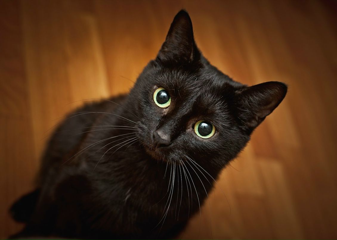 Наталья Бернацкая | 