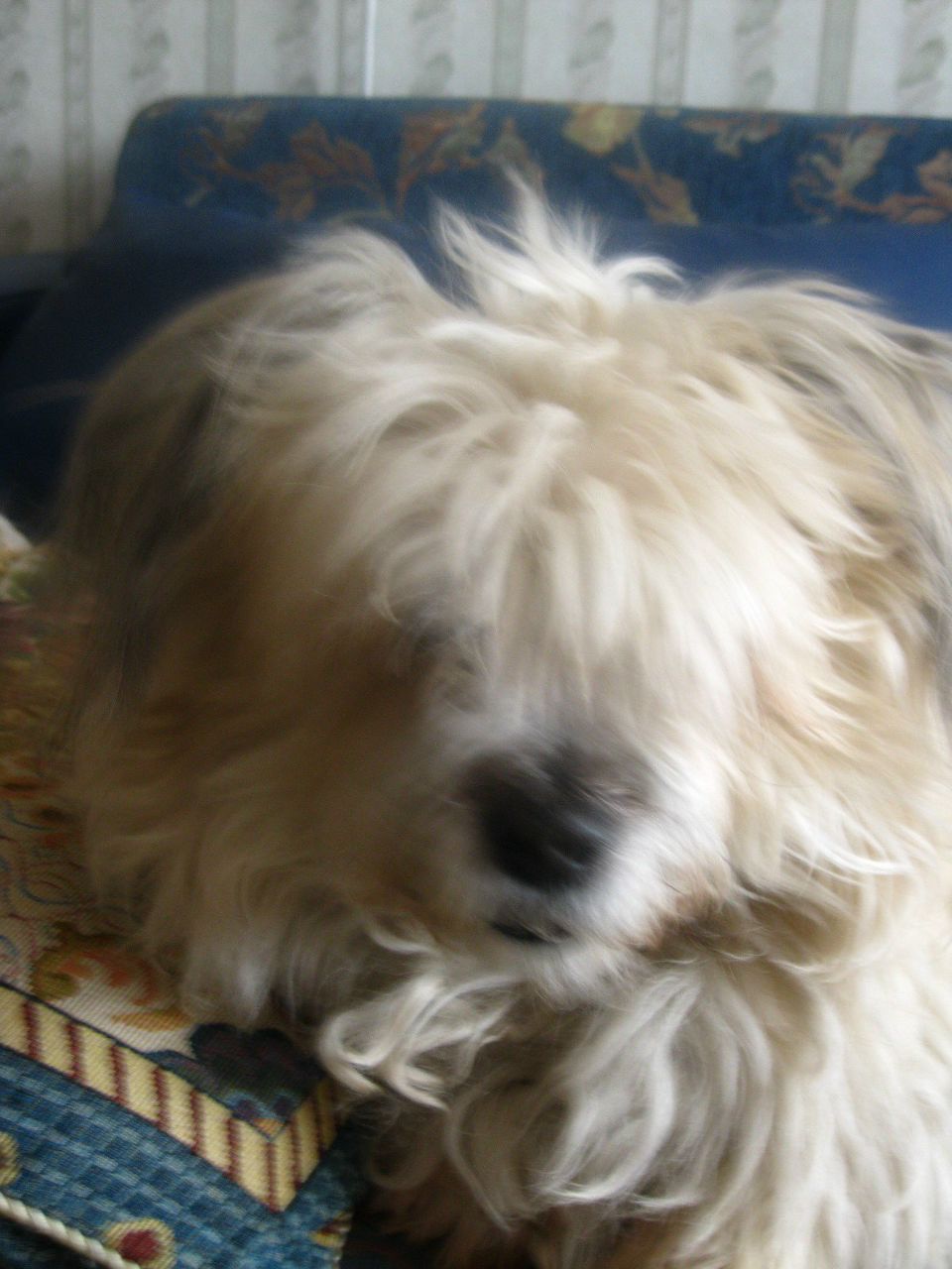 Инна Лукина | Санкт-Петербург