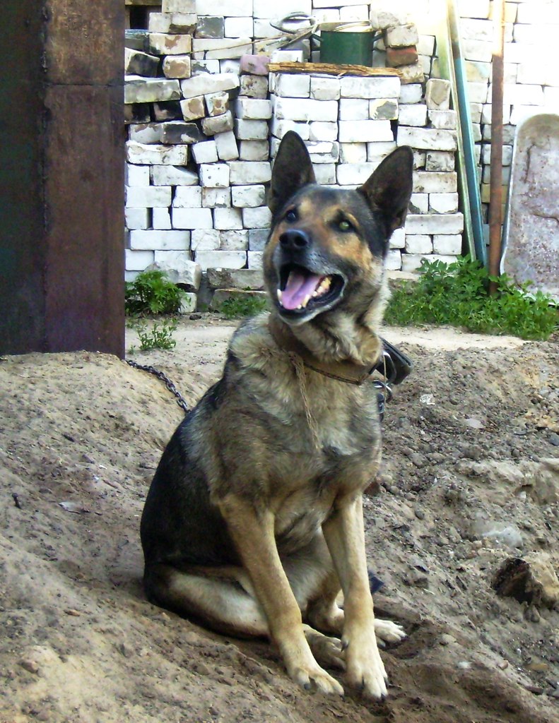 Евгения Титаева | Бор