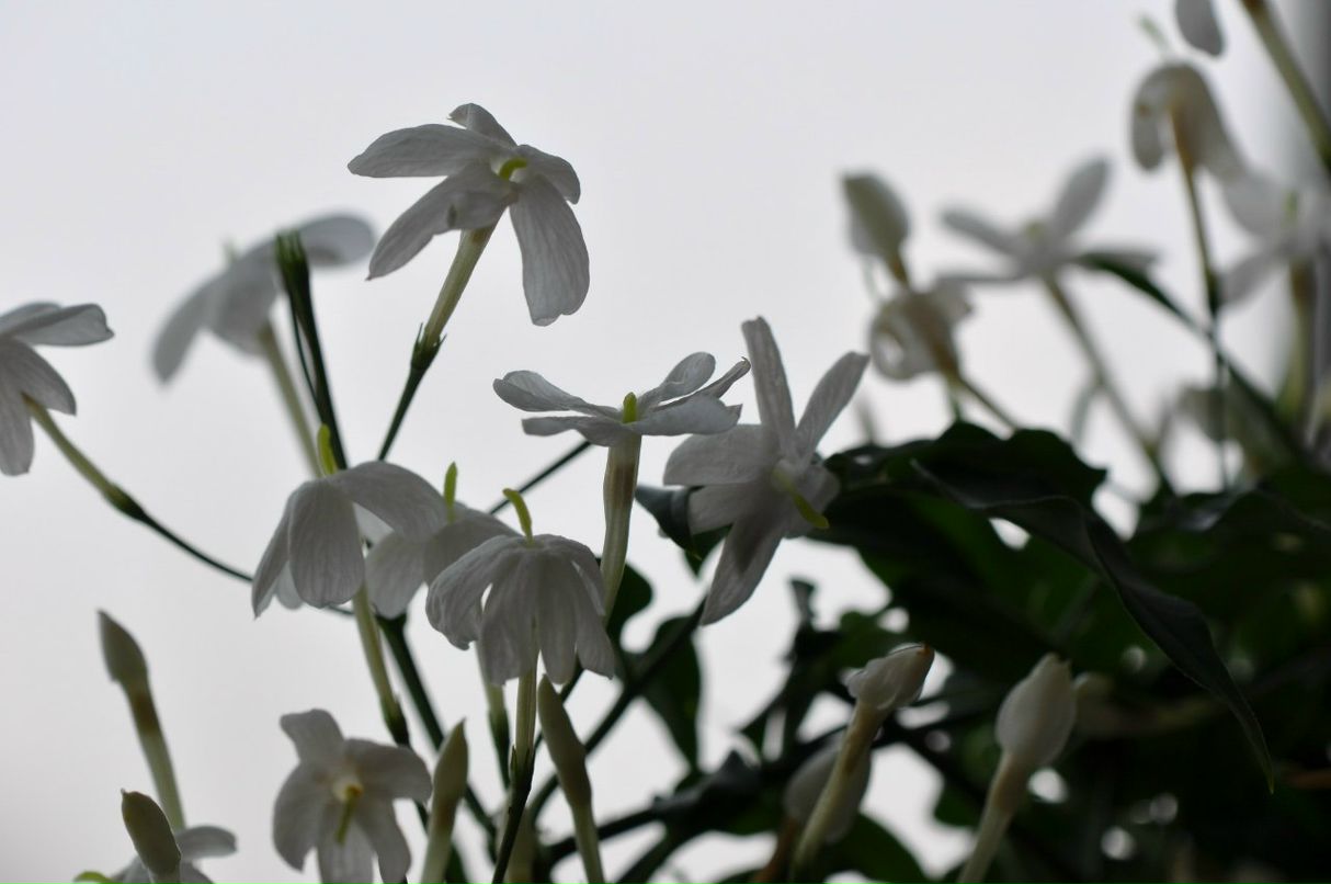 Андрей Мельников | 