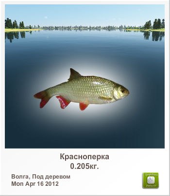 Санёк Сизов | Саратов