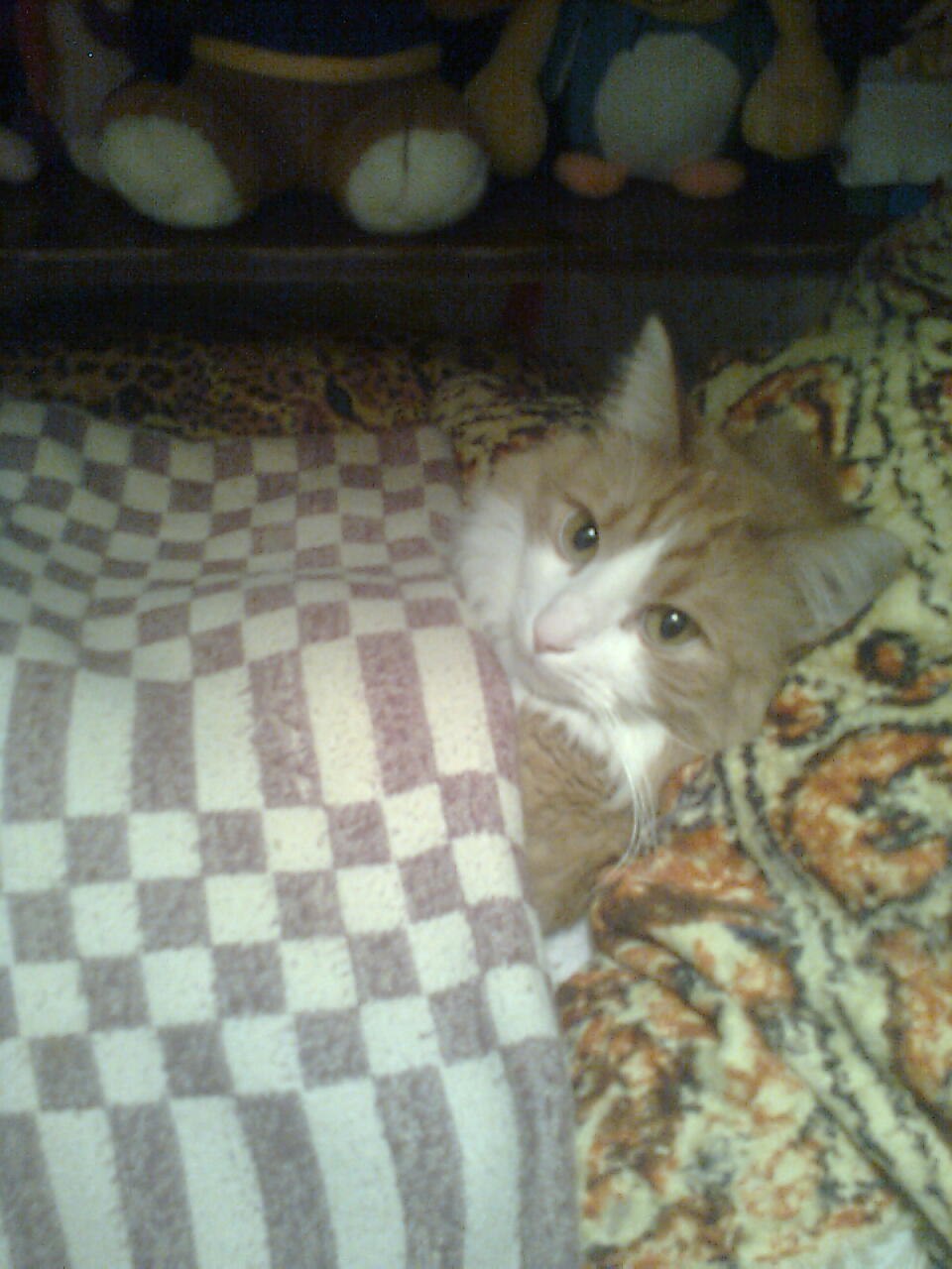 Екатерина Кулешова | Красноярск