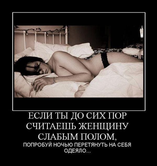 Никита Волков _Online_ | Санкт-Петербург