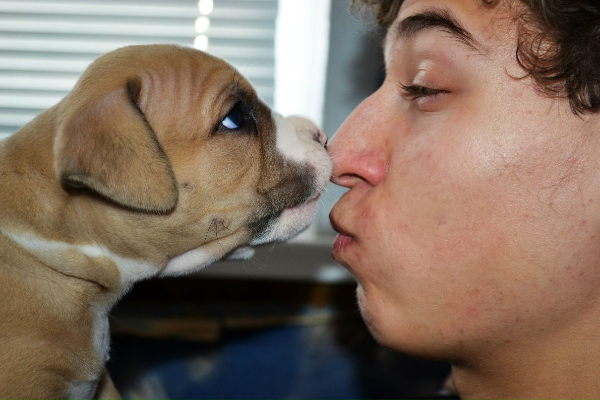 Максим Шпак | Киев