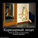 №34 Роман Белоусов