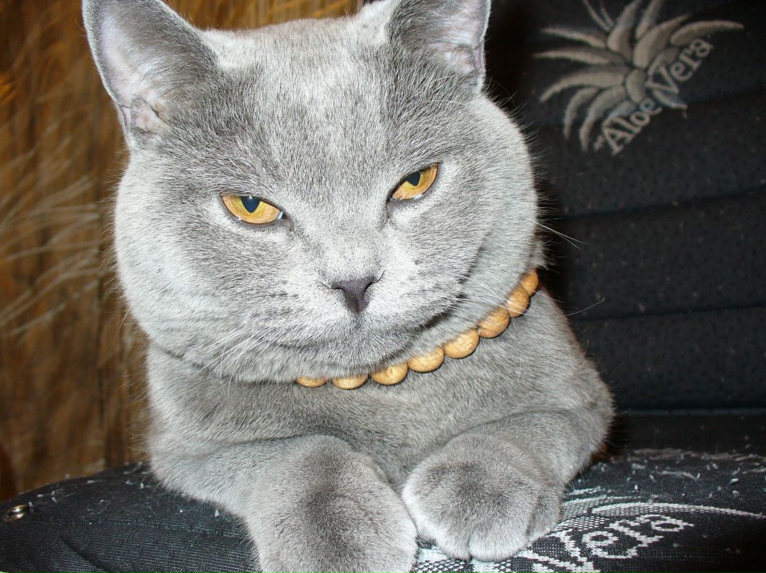 Александр Феклистов | Новосибирск