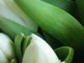 Інна Заєць | 