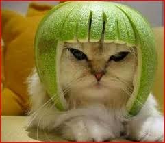 Виталий Власенко ***ГРАФ*** | Киев