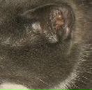 Юлия Тюликова | Ростов-на-Дону