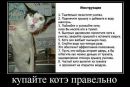 Фотография Allein Vielen