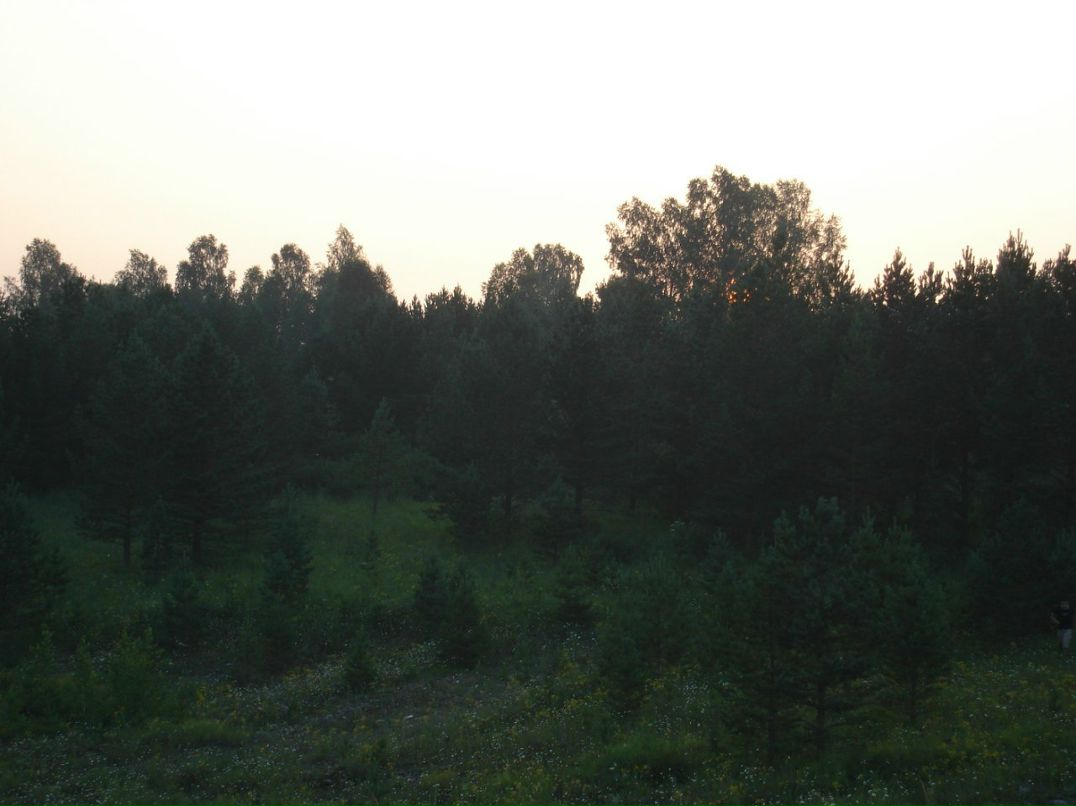 Вячеслав Рощин | 