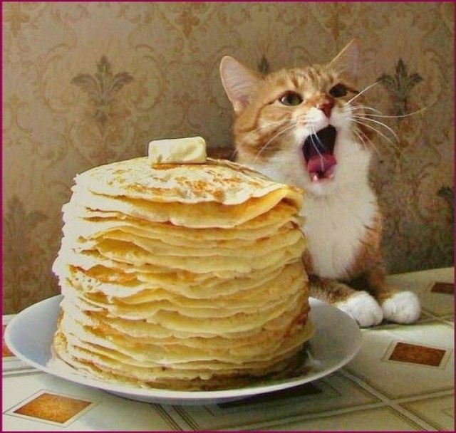 Светлана Павлова | Нарва