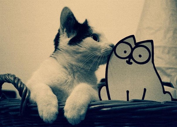 №107, Екатерина Ольховикова, 18.02, Лебяжье №107, Екатерина Ольховикова, 18.02, Лебяжье