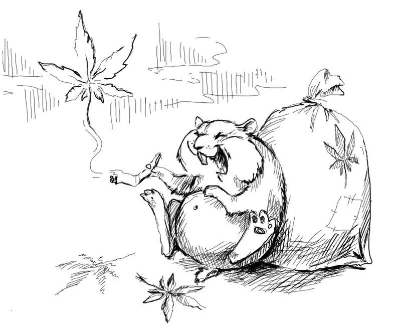 Владислав Михеев | Москва