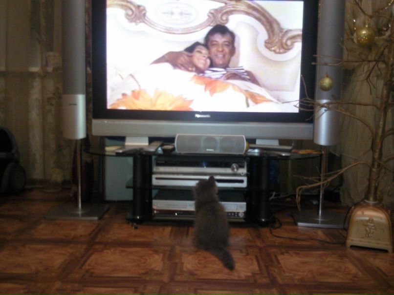 Даниил Кильметов | Вязьма