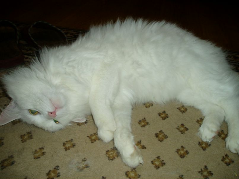 Вика Абрамова | Хотьково