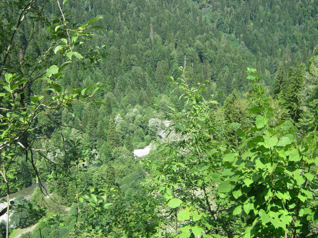 Виктор Шомысов | Сыктывкар