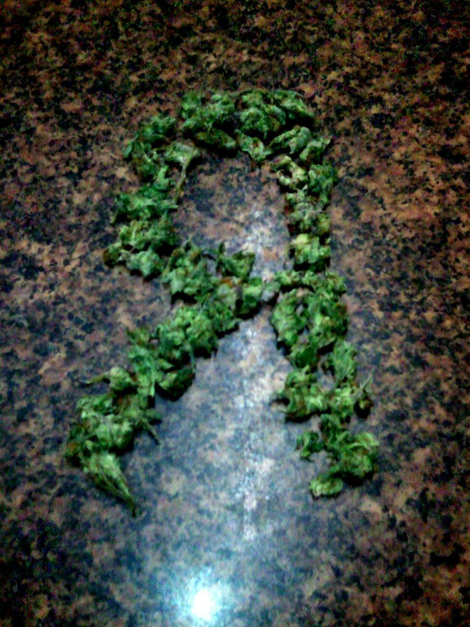 Петр Гюнтов Сергеевич | Санкт-Петербург