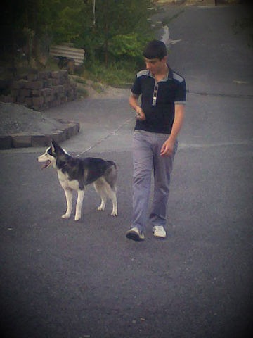 №12, Gexam Suqiasyan, 29 лет, Ереван №12, Gexam Suqiasyan, 29 лет, Ереван