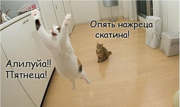 Никита Сильянов | Москва