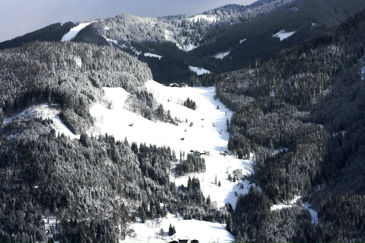 Наталия Ридель | Zittau