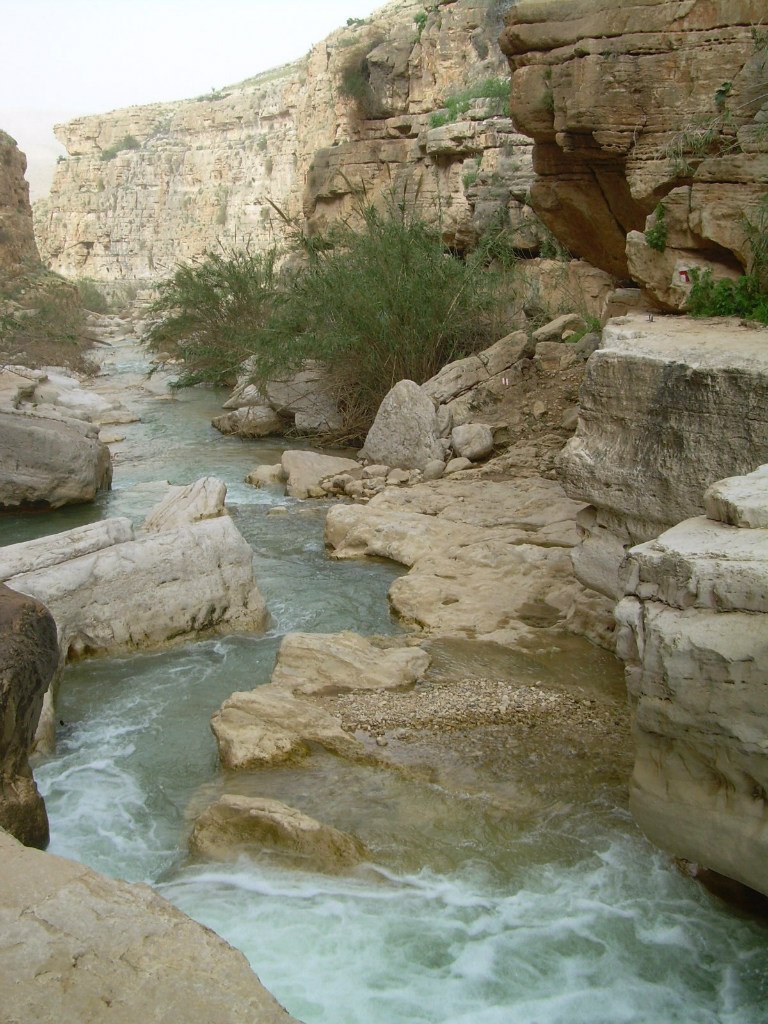 Валентина Вася | Иерусалим