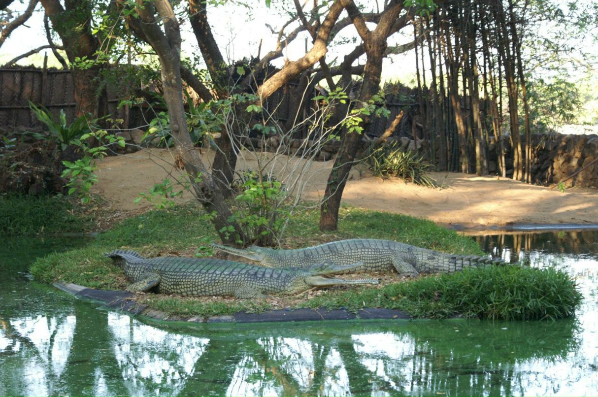 Ольга Кужель | Киев