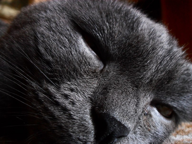 Katrin Stoltz 雪 | Электросталь