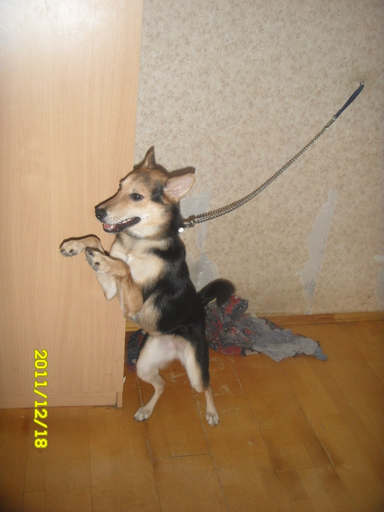 Кирилл Кузьмичев | Алексин