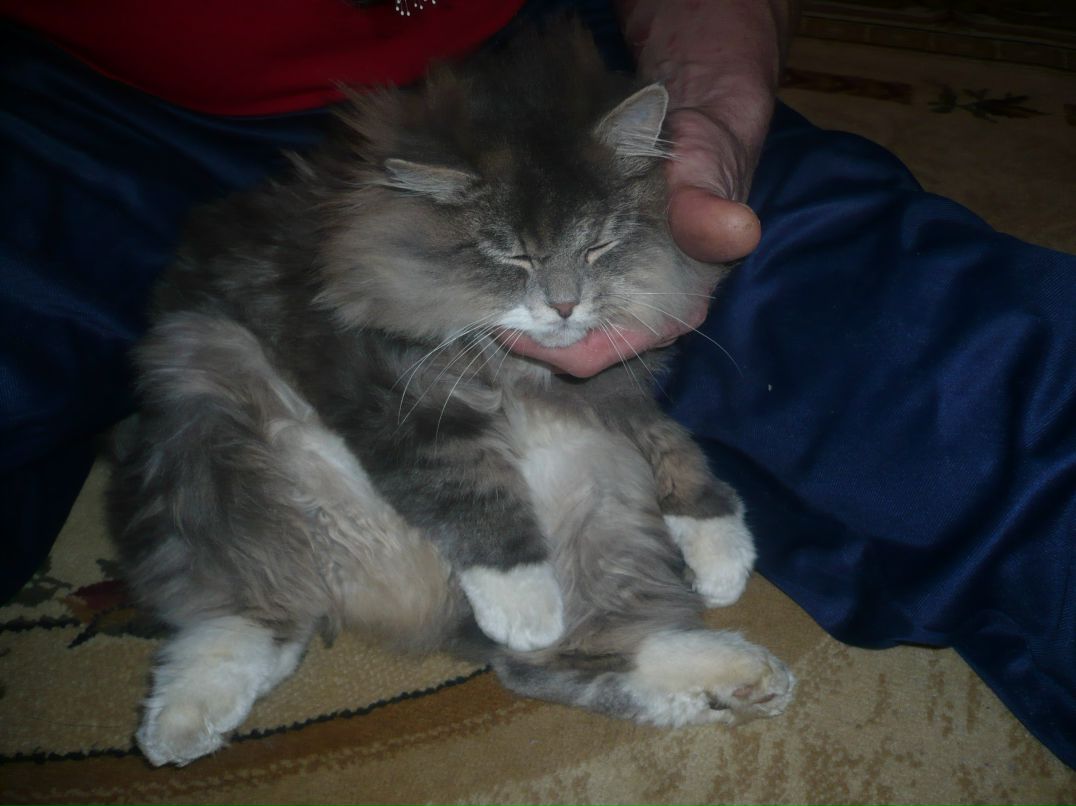 Александр Румянцев | Серпухов