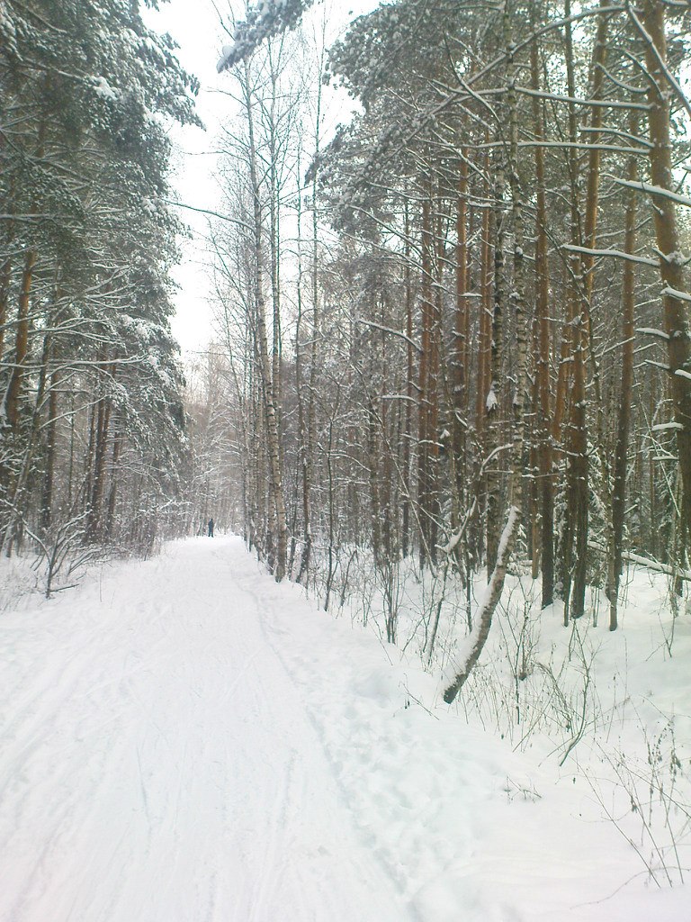 Иван Жучков | Москва