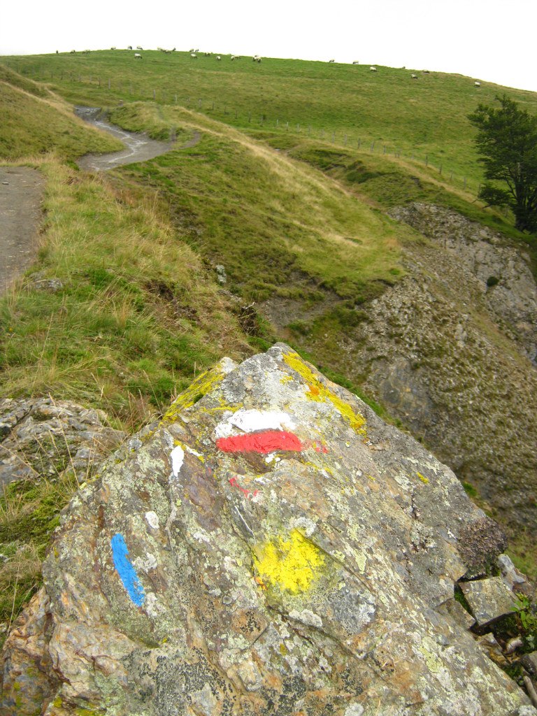 Светлана Иванова | Санкт-Петербург
