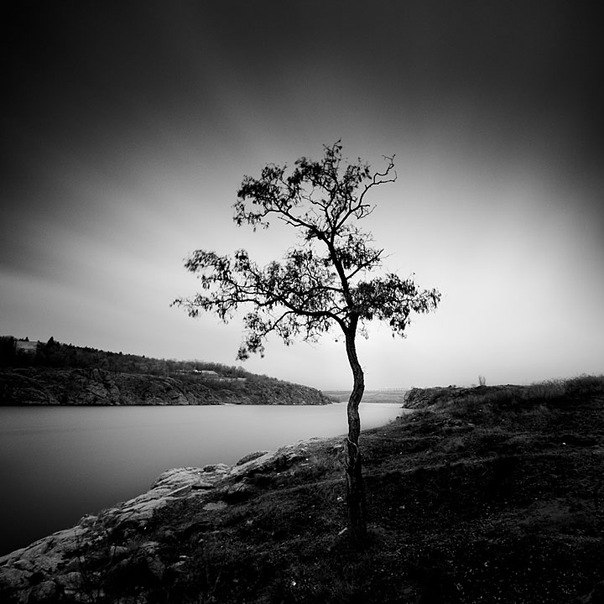 Света Влюшина | Москва