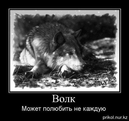 Тарас Заяц | Винница