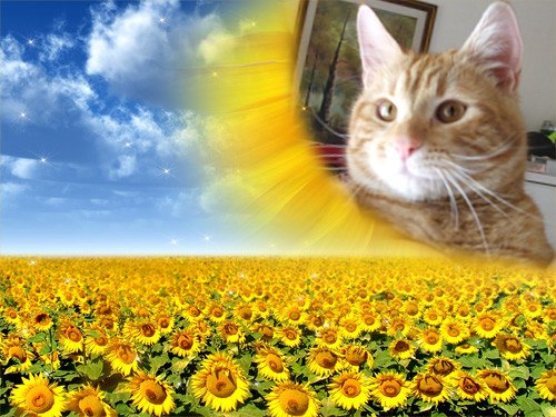 Надія Скочипець | Firenze