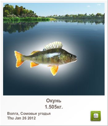 Максим Калашников | Симферополь