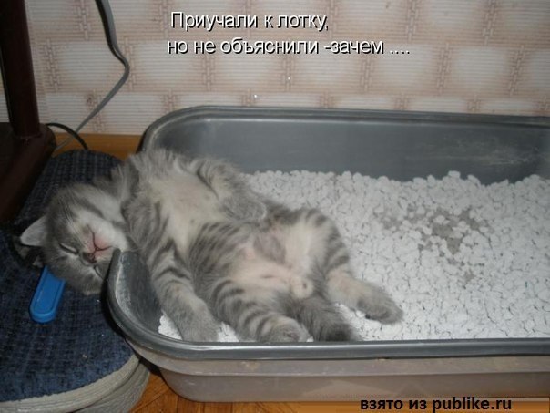 Андрей Шилов | Москва