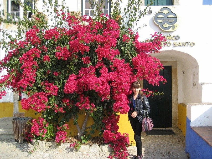 Елена Лосюкова | Красноярск