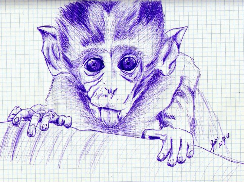 Радик Фатихов | Казань