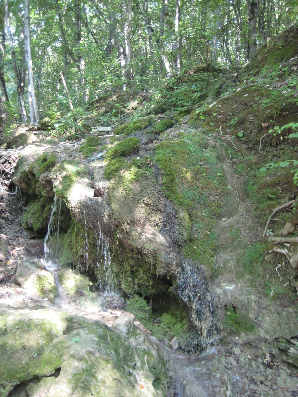 Катя Иванова | Санкт-Петербург