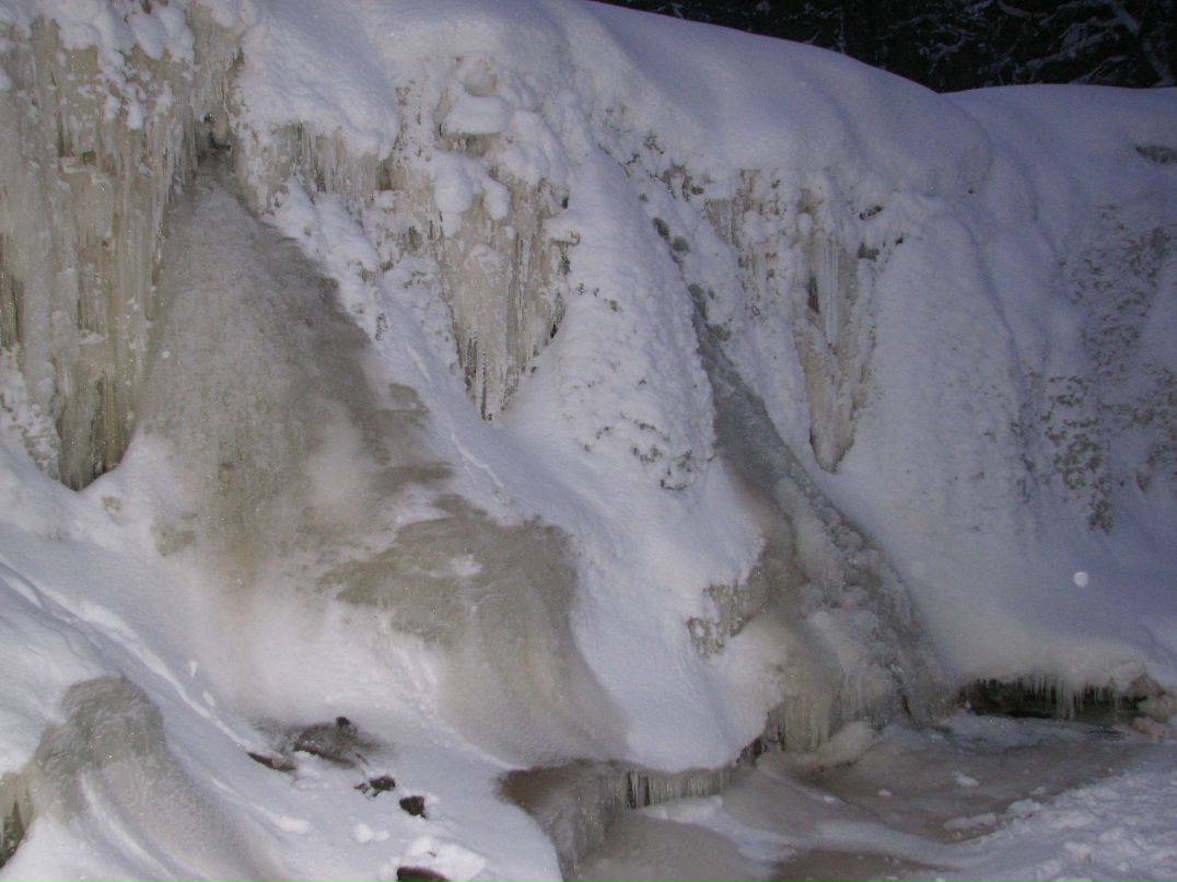 Anatoli Trofimov | Таллин