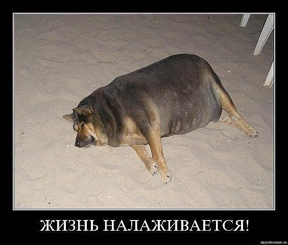 Мария Степаненко-Гаврилова | Брянск