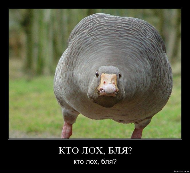 №129, Рома Слепченко, 32 года, Володькина Девица / Червоные Партизаны №129, Рома Слепченко, 32 года, Володькина Девица / Червоные Партизаны