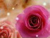 Екатерина Козлова -‘๑’- | Санкт-Петербург